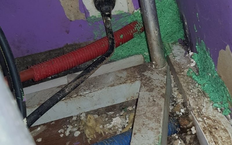 Désinsectisation cafards Créteil